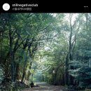 [서귀포카페,필름현상] 스틸네거티브클럽(1) ‘산보와 사진’ 프로그램 후기