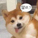 수린목장2 | 저 냐짱 다녀와떠요