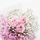 (학교)강릉초 이미지