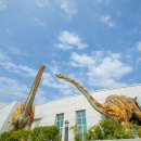 해남셀프나라 | [공룡영화제-“무더위 날릴 공룡시네마로 오세요”해남공룡박물관 영화 무료상영 ]