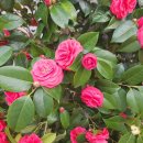 해수천1호 이미지