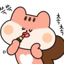 No1 카서비스 이미지