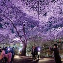 장*인 - 안양시 만안구 | 장*인