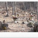 승희네농장 이미지