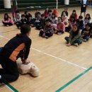 덕진초등학교 이미지