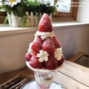 플루트 | 시즌 과일로 만드는 디저트 카페 서촌 라프레플루트!