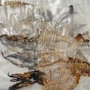 꾸버드림 | 더신선 꾸버드림 오징어 후기