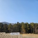 정글돔풀빌라앤글램핑 - 거제시 외간1길 1-60 | 정글돔풀빌라앤글램핑
