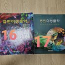 식화 이미지