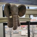 평화미주치과의원 | 송파 잠실숲 사랑니 공장 방문기 (매복사랑니+실밥제거)