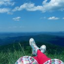 오리노코(orinoco) 이미지