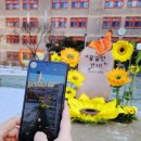 서울중평초등학교 이미지