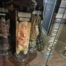 여주곤충박물관 이미지