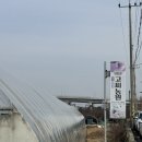 [인천 계양구 아이랑] 딸기 따러 가자, “고씨딸기체험농원” 방문 후기