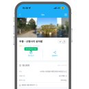 [신평-무릉 곶자왈] 제주 겨울 산책하기 좋은 올레길 11코스