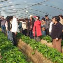 친환경까치마을 이미지