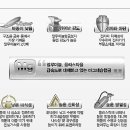 엔티티