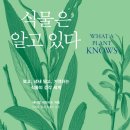 식물A 이미지