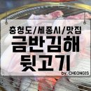 금반 | 금반김해뒷고기 세종 도담동 먹자골목 고기 삼겹살 단체 저녁 회식 모임 맛집 추천