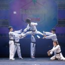 장대태권도 이미지