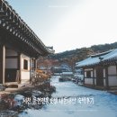 문헌전통호텔 | 고즈넉한 한옥, 서천 문헌전통호텔 숙박 후기 (씨큐리움,에코리움,조식)