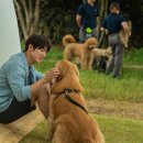 멍뭉이네 이미지