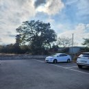 제주전자 이미지