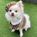 제이제이쇼핑몰 이미지