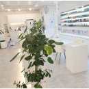 백광약국 이미지