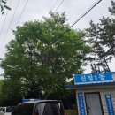 봉월공원 화장실 이미지