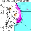 동해안 대설경보(2011.02.14) 이미지