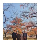 온양불고기 이미지