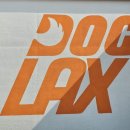 도그렉스 Daum카페