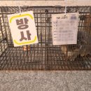 금강축산가축병원 이미지