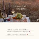 포항와인샵 비노빌라쥬 프랑스 와인 시음회 후기(feat.크리스탈와인수입사)