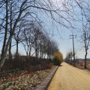 사노라면-가사 노래 한 곡 이미지