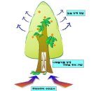 식물의 기초생리 4편 이미지