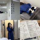 미스터코리아와 함께 하는 지속 가능한 건강관리법 | 신논현다이어트 누워서 체지방 감량 가능한 바디슬리밍 신부관리 더마름 추천해요