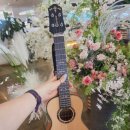 칼림바와 우쿨렐레 이미지