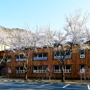 월아산자연휴양림(진주) 이미지