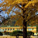 함안주리사지사자석탑 이미지