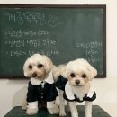 개중목욕탕 이미지