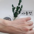 (주)디엠에스인터내셔날 | 톤업비비 추천 닥터스픽 DMS 코르테 더모 프로텍션 리바이벌 톤업 밤 후기(feat.착붙 인생비비!)