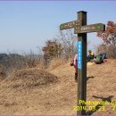곡성-034 Daum카페