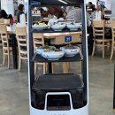 동해살얼음물회물냉 | 속초 맛집 추천 항아리물회 주차 웨이팅 포장 정보 청초수물회 비교 내돈내산 후기