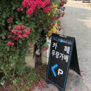 무랑가배
