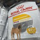 KABA(한국반려동물행동의학협회)에서 지원받은 사료를 호더 아이들에게 후원하였습니다. 이미지