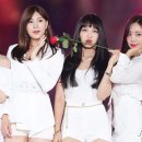 보미 이미지