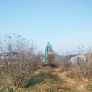 완전농장 이미지