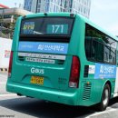 매화카센타 이미지